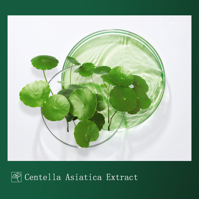 8 Chiếc Centella Mặt Nạ Bùn Ng - đánh giá và giá Dust Mask Construction